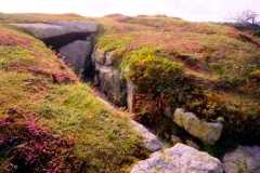 Porth
                                Hellick Down Burial Chamber