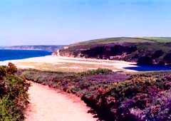 Loe Bar