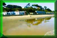 Branksome
                Chine