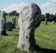 Avebury
                  Stones