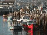 Bridport Harbour