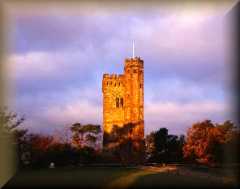 Leith Hill